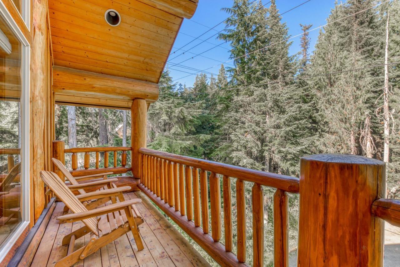 Skiing Bear Chalet غوفيرمنت كامب المظهر الخارجي الصورة