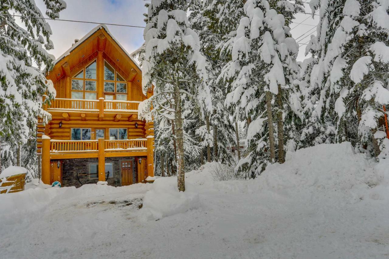Skiing Bear Chalet غوفيرمنت كامب المظهر الخارجي الصورة